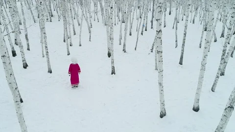 Inner Mongolia winter north china landscape Stock Footage 139388533