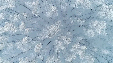 Inner Mongolia winter north china landscape Stock Footage 139824865