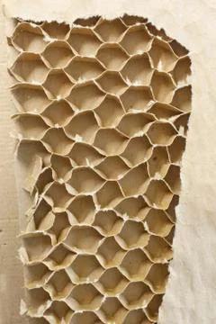 Inner part of cardboard Stock Photos