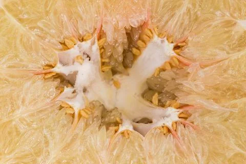 Inner part of a pomelo fruit, close-up Stock Photos