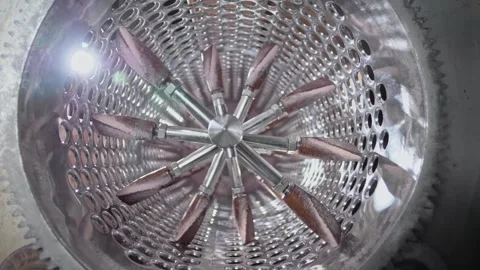 Inner shaft with blades of the automatic grape separator for grapes in plant Stock Footage 268750709