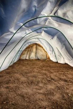 Inner view of a vegetable patch prepared for seedlings covered with spunbond Stock Photos