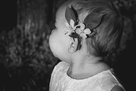 Innocence Bloom Stock-Fotos