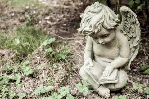 Innocence Stock Photos