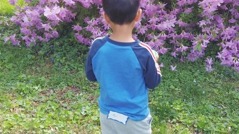 Innocent child counts his Easter eggs in front of pastel colored flowering Video stock 111370062