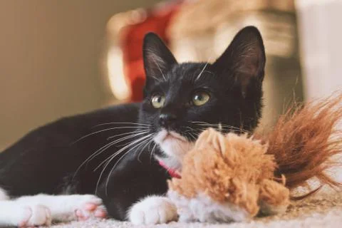 Innocent 스톡 사진