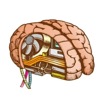 Innovation Computer Chip Brain Color Vector 库存插图