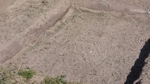 Innovative rain garden technique demonstrating water retention for sustainable Stock Footage 341868917