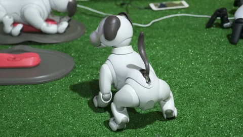 Innovative robot dog, performing program. Smart robotic device, artificial Stock Footage 167916418