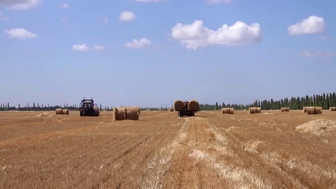 Innovative technology tractor machine loading huge bale of hay on truck vehicle Stock Footage 94883383