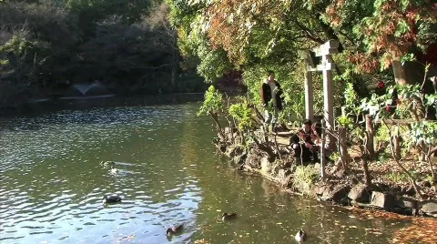 Inogashira Lake Torri Gate-3 Stock Footage