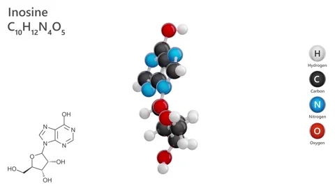 Inosine. Nucleoside. 3D model of a molecule.White background. 3D render 스톡 동영상 289855457