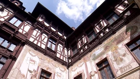 InPeles 動画素材 82632140