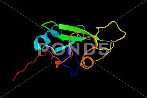 INPP5D, an enzyme which was shown to be a negative regulator of BCR ...