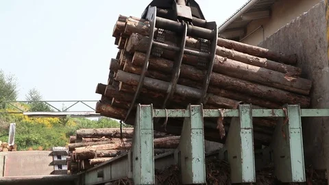 Input conveyor line debarking Stock Footage 100703458