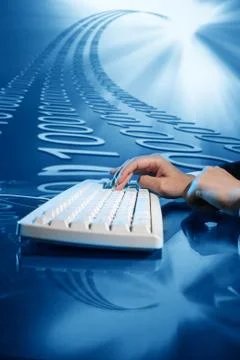 Input data 스톡 사진