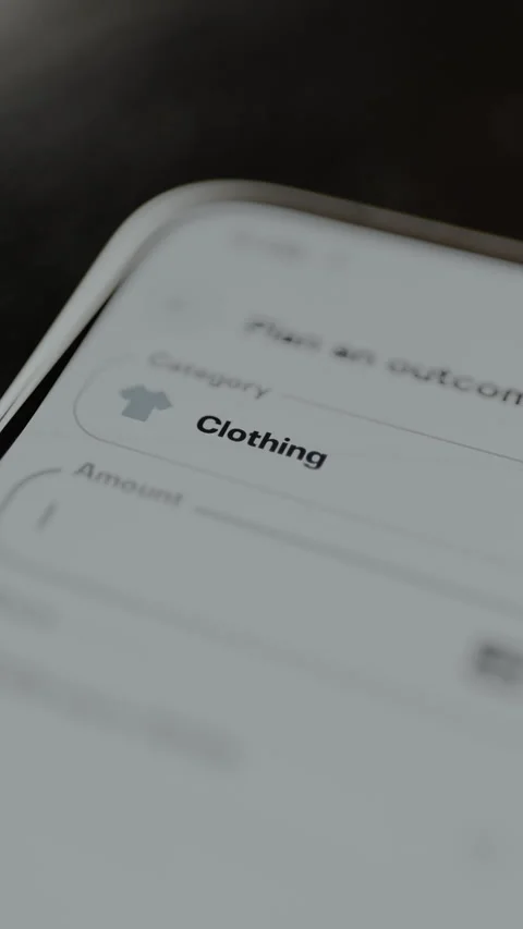 Input field to specify the Amount of money planned to be spent for Clothing Video stock 328886823