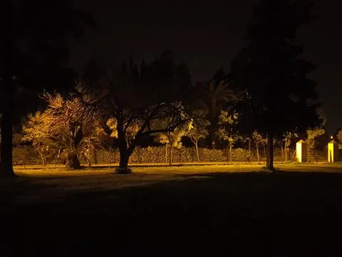 Input in gloom 库存照片