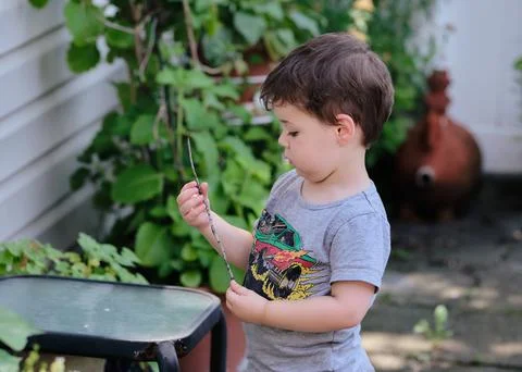Inquisitive toddler is exploring objects in the backyard Stock Photos