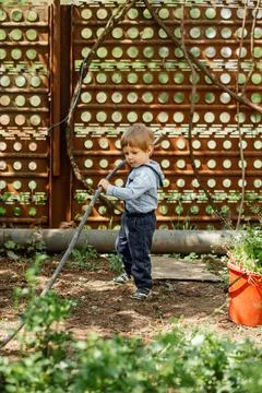 Inquisitive toddler is exploring objects in the backyard. Fotos de archivo