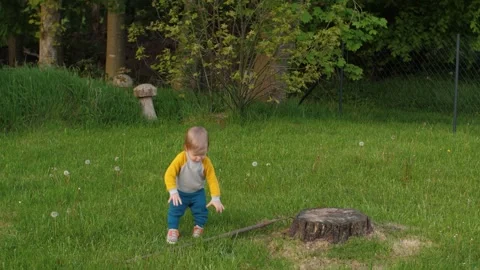 Inquisitive toddler studying gardening tools Stock Footage 314346877
