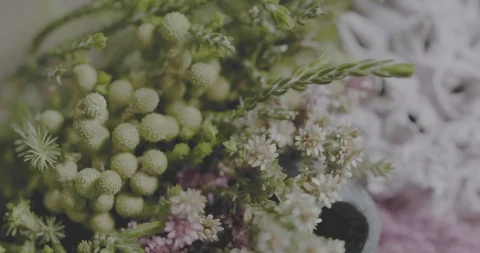 Ins Flowers rack Focus C4K BT2020 PQ Stock Footage 100137715