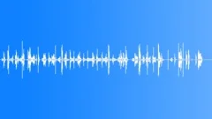Insane Asylum Sound Effect