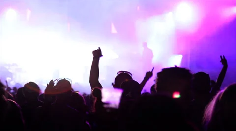 Insane crowd - Hands in the air - Facing stage - Festival Scene 4 Stock Footage 34137232