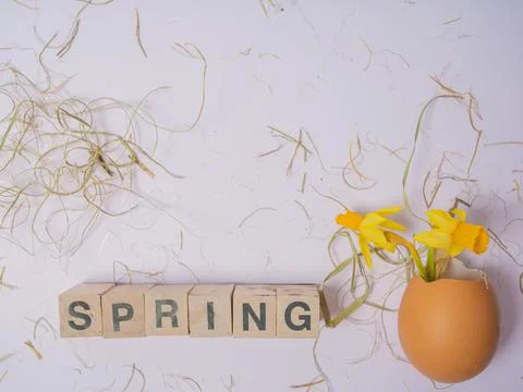 The inscription from the cubes SPRING. Daffodils in an eggshell. Easter conce Stock Photos