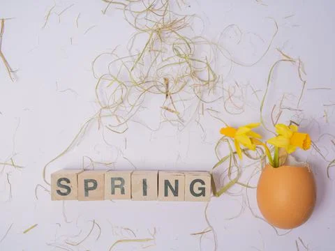The inscription from the cubes SPRING. Daffodils in an eggshell. Easter conce Stock Photos