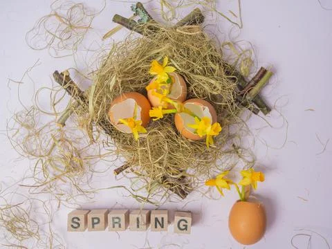 The inscription from the cubes SPRING. There is an eggshell in the nest. Daff Stock Photos