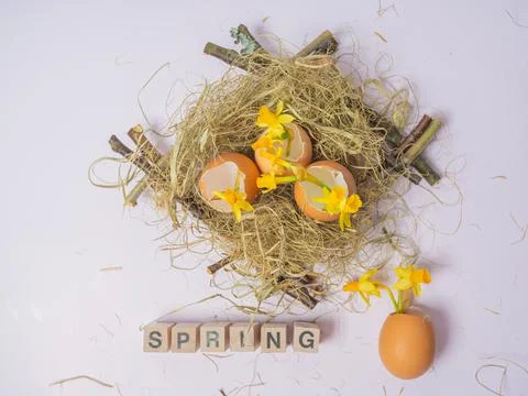 The inscription from the cubes SPRING. There is an eggshell in the nest. Daff Stock Photos
