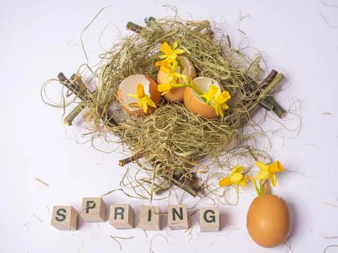 The inscription from the cubes SPRING. There is an eggshell in the nest. Daff Stock Photos