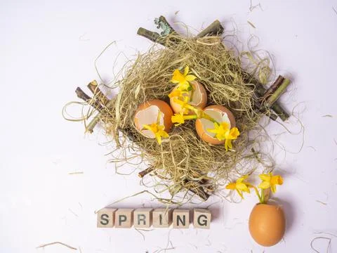 The inscription from the cubes SPRING. There is an eggshell in the nest. Daff Stock Photos