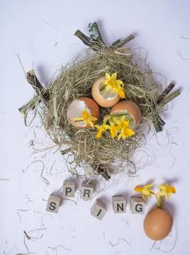 The inscription from the cubes SPRING. There is an eggshell in the nest. Daff Stock Photos