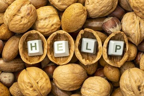 The inscription HELP on the computer keyboard, found inside a walnuts Stock Photos