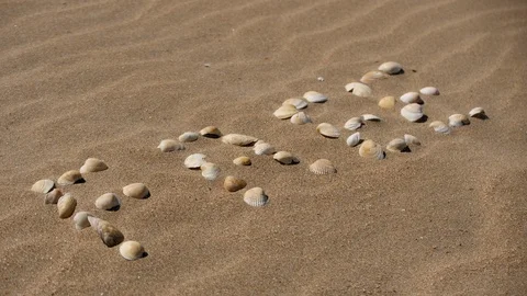 The inscription on the sand. From shells the word is laid out. Grains of sand Stock Footage 116917841