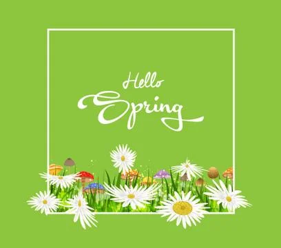 Inscription Spring Time on background with spring flowers Stock Illustration