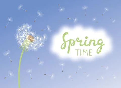 Inscription Spring Time. Vector dandelion with flying seeds on cloudy sky Stock Illustration