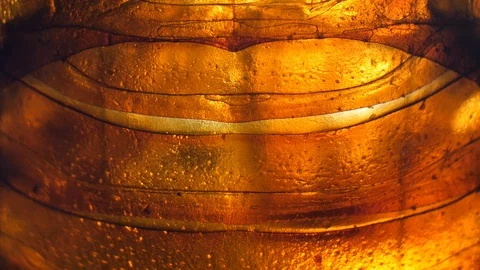 Insect Analysis Stock Footage 107180454