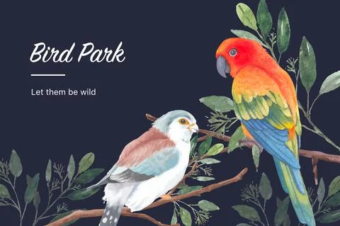 Insect and bird frame design with finch, sun conure, leaves watercolor illust イラスト素材