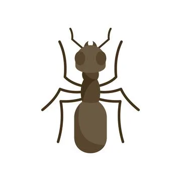 Insect ant icon, flat style Illustrazione stock
