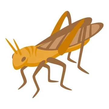 Insect ant icon isometric vector. Grasshopper bug Illustrazione stock