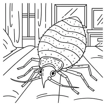 Insect Bed Bug Animal Coloring Page for Kids Stock Illustration