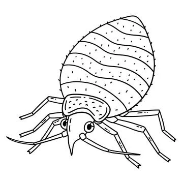 Insect Bed Bug Animal Isolated Coloring Page Stock Illustration