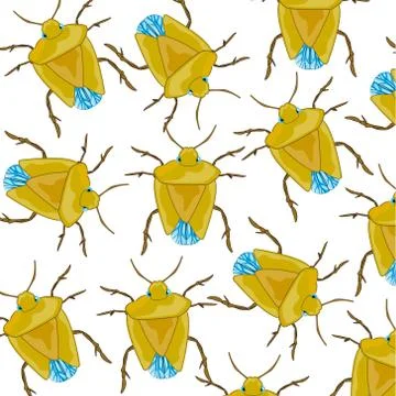 Insect bedbug pattern Stock-Illustration
