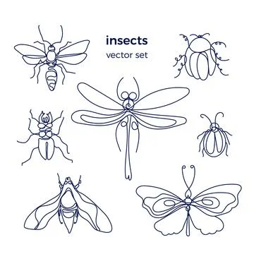Insect. Bee, bug, moth, dutterfly. Vector set on white background. Line art g Illustrazione stock