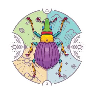Insect Beetle Bug Design Elements with Line Graphic. Illustrazione stock