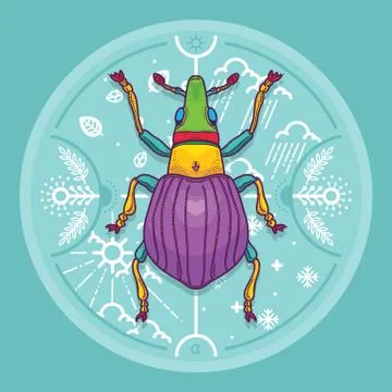 Insect Beetle Bug Design Elements with Line Graphic. Stock Illustration