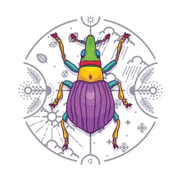 Insect Beetle Bug Design Elements with Line Graphic. Illustrazione stock